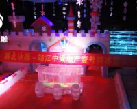 靖江中糧地產壹號院冰雕節「賽北冰雕」