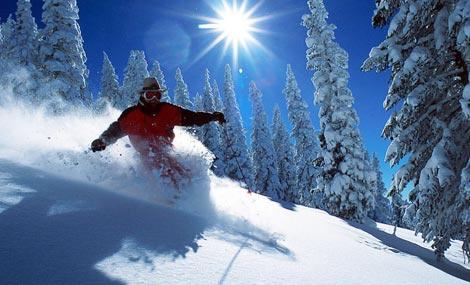 1563258387214556.jpg timg.jpg